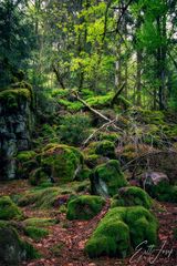 Wanderung im Lallinger Winkel - Tour 10