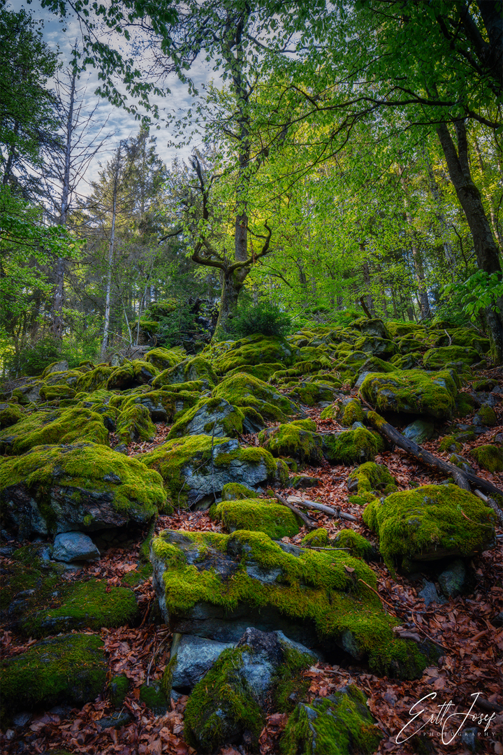 Wanderung im Lallinger Winkel - Tour 10