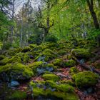 Wanderung im Lallinger Winkel - Tour 10