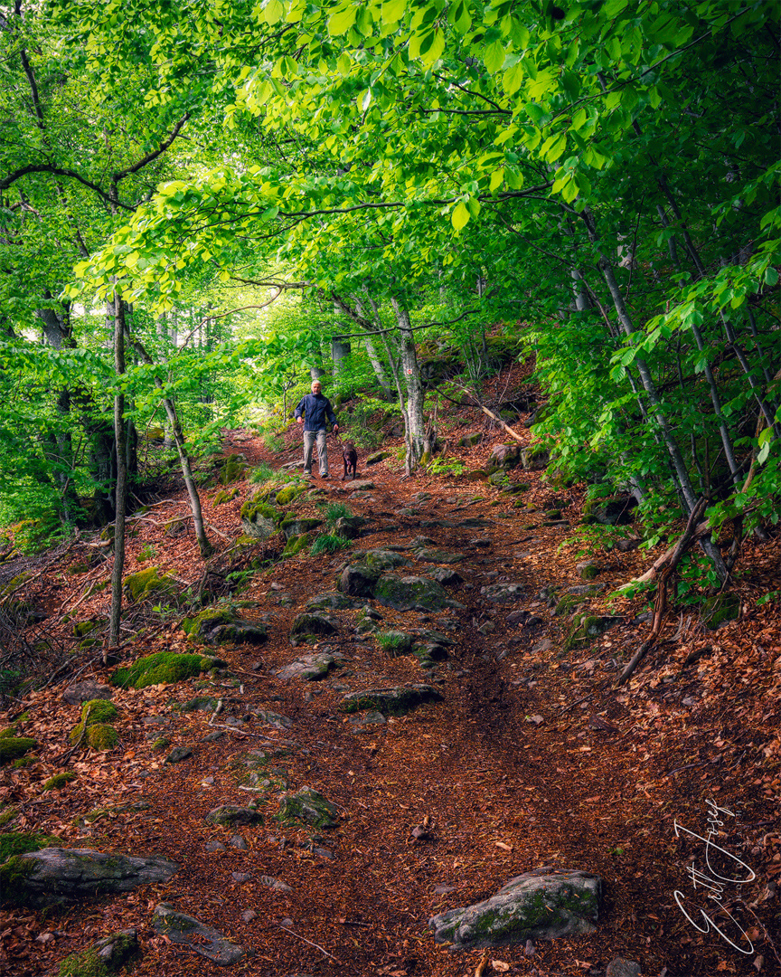 Wanderung im Lallinger Winkel - Tour 10