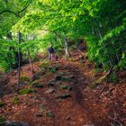 Wanderung im Lallinger Winkel - Tour 10