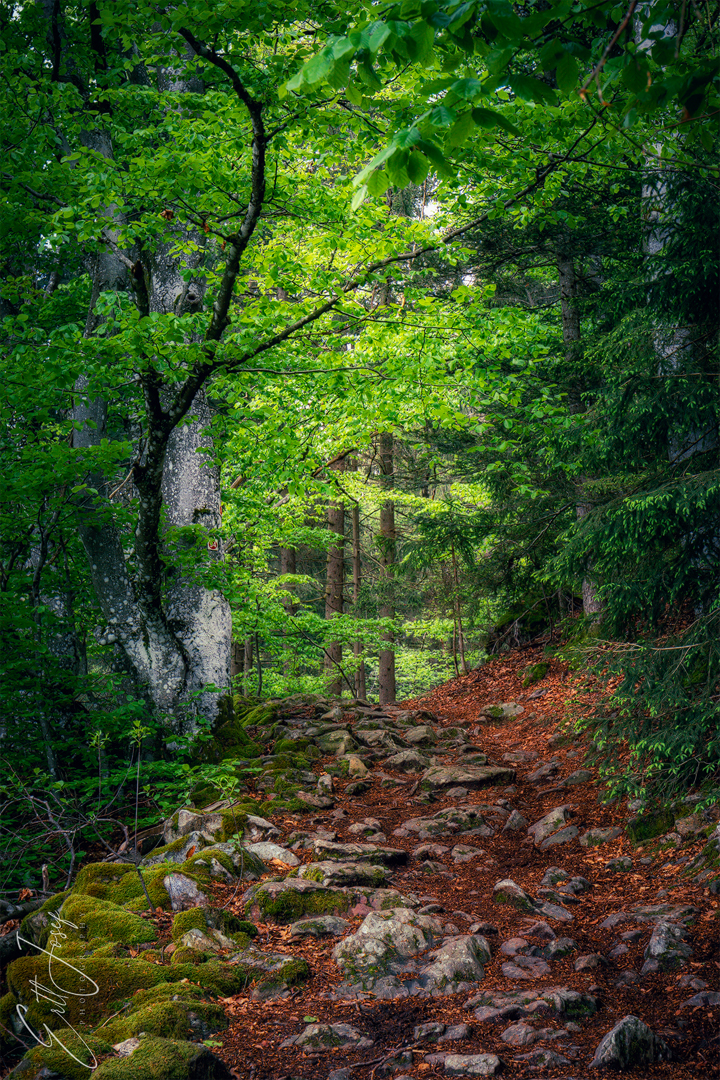 Wanderung im Lallinger Winkel - Tour 10