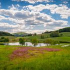 Wanderung im Lallinger Winkel - Tour 16