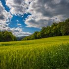 Wanderung im Lallinger Winkel - Tour 16