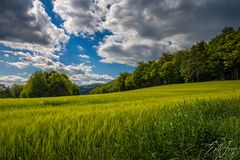 Wanderung im Lallinger Winkel - Tour 16