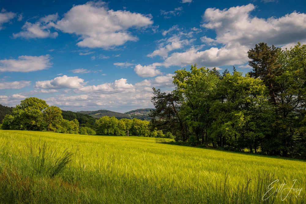 Wanderung im Lallinger Winkel - Tour 16