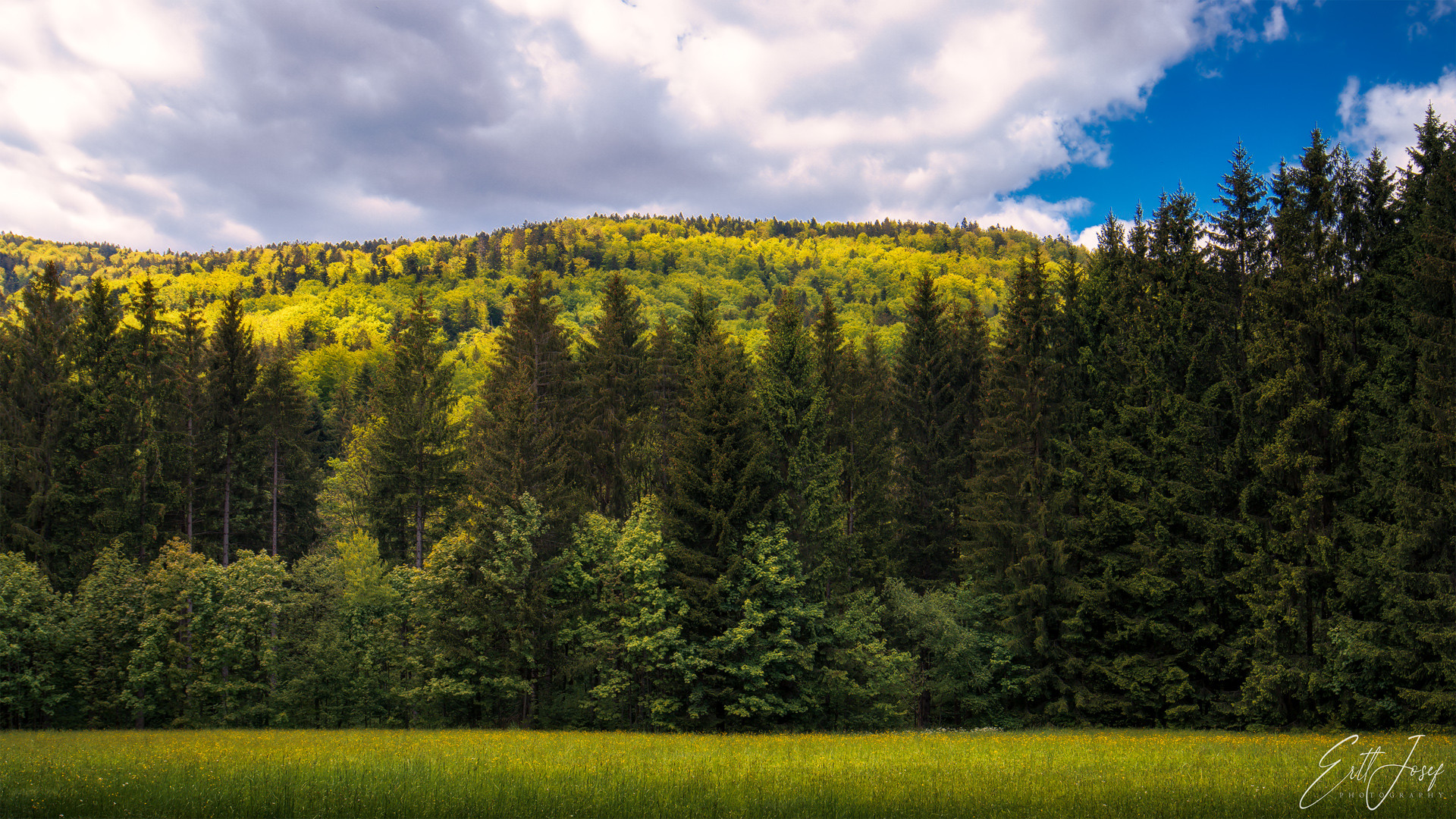 Wanderung im Lallinger Winkel - Tour 16