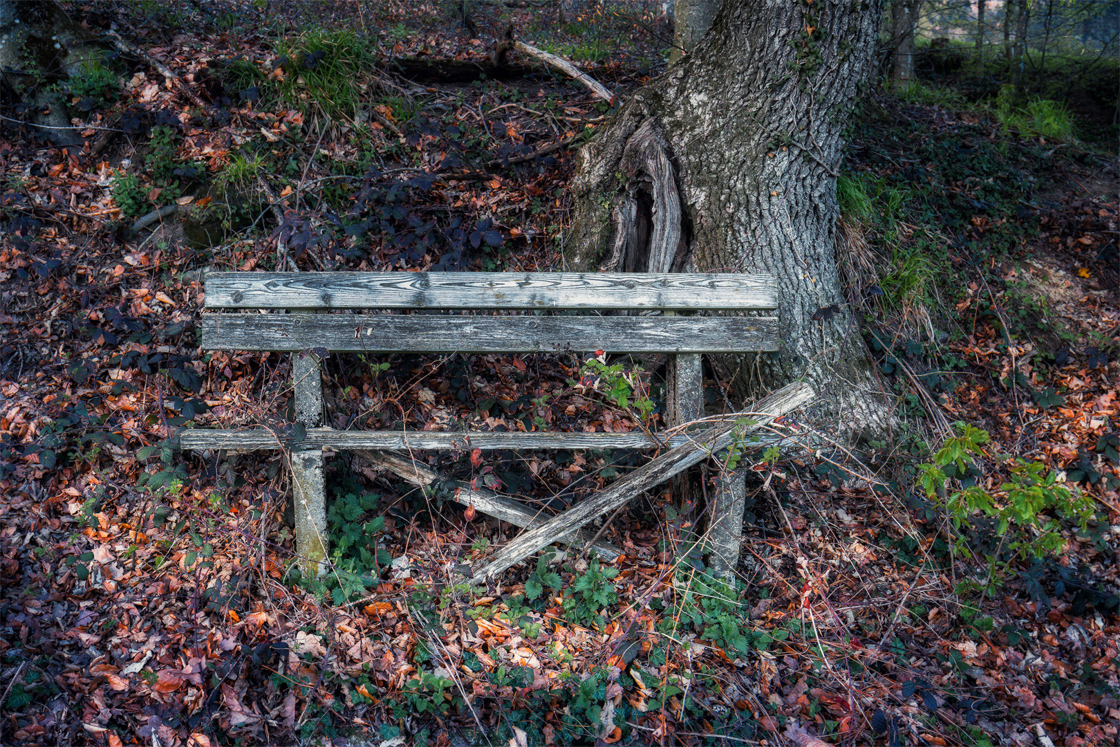 Wanderung im Lallinger Winkel - Tour 2