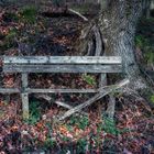 Wanderung im Lallinger Winkel - Tour 2