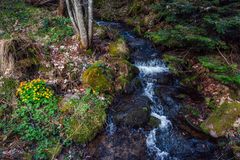 Wanderung im Lallinger Winkel - Tour 2