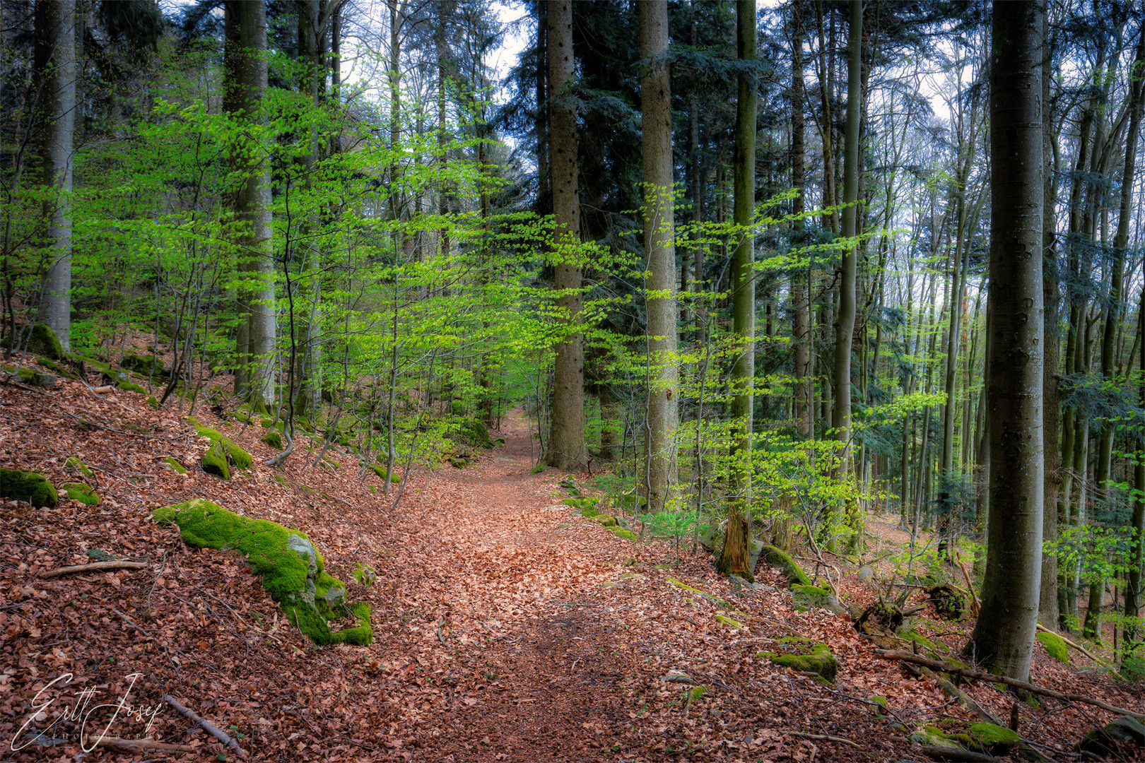 Wanderung im Lallinger Winkel - Tour 4