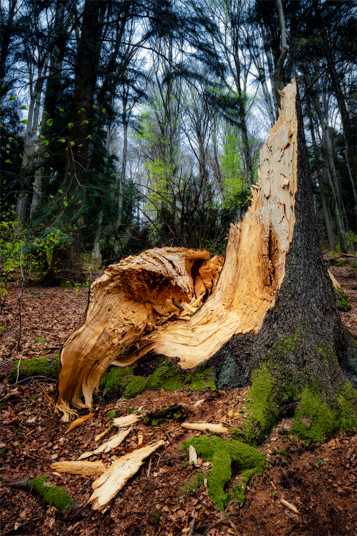 Wanderung im Lallinger Winkel - Tour 4