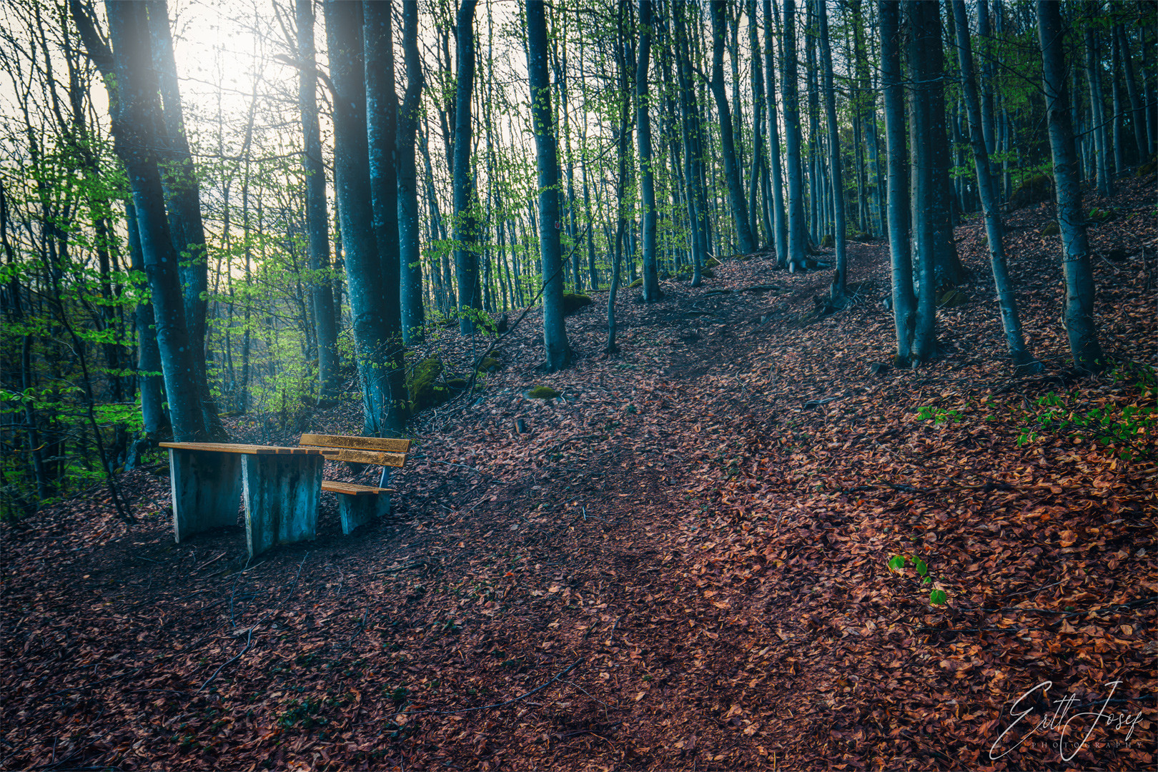 Wanderung im Lallinger Winkel - Tour 4