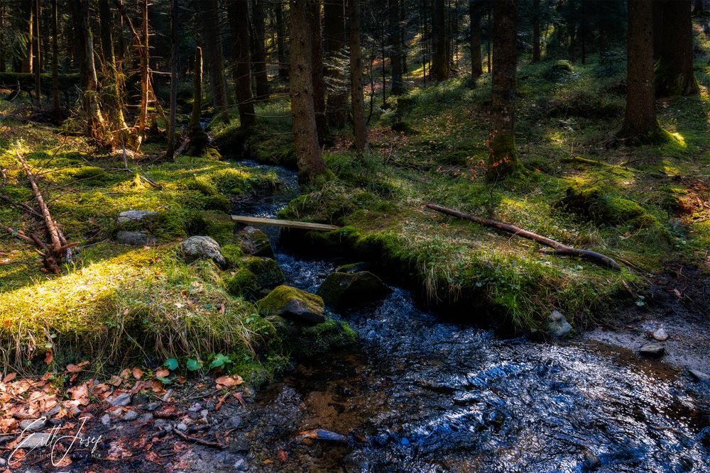 Wanderung im Lallinger Winkel - Tour 4