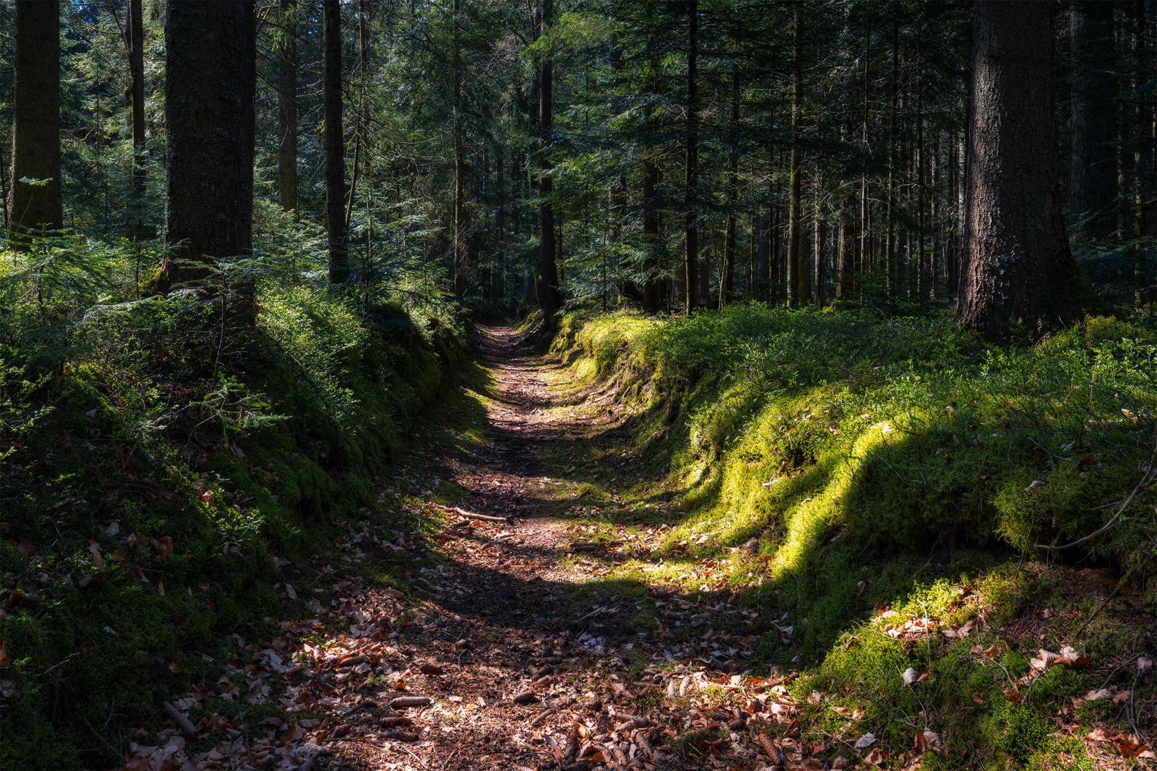 Wanderung im Lallinger Winkel - Tour 4