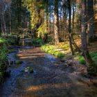 Wanderung im Lallinger Winkel - Tour 8