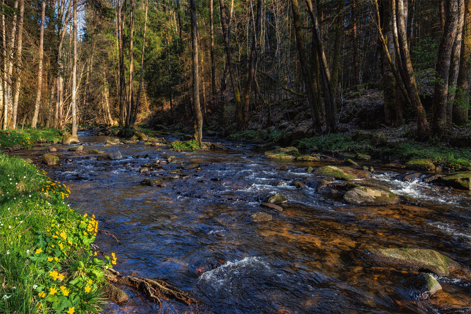 Wanderung im Lallinger Winkel - Tour 8