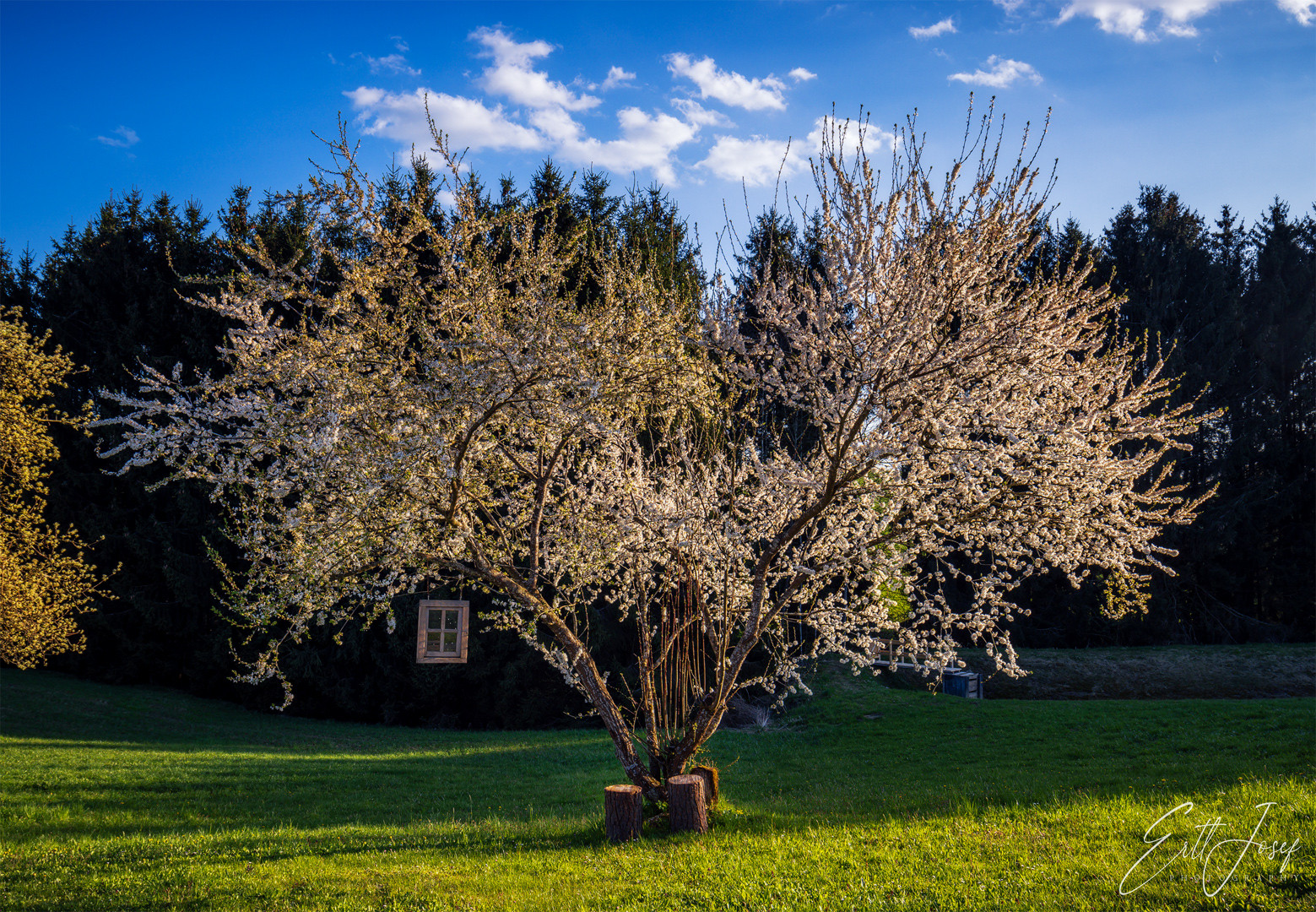 Wanderung im Lallinger Winkel - Tour 8