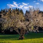 Wanderung im Lallinger Winkel - Tour 8