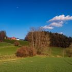 Wanderung im Lallinger Winkel - Tour 8