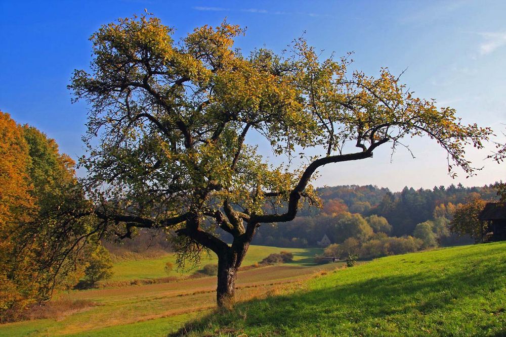 Wanderung im Laufer Land