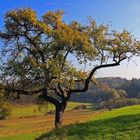 Wanderung im Laufer Land