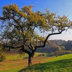 Wanderung im Laufer Land