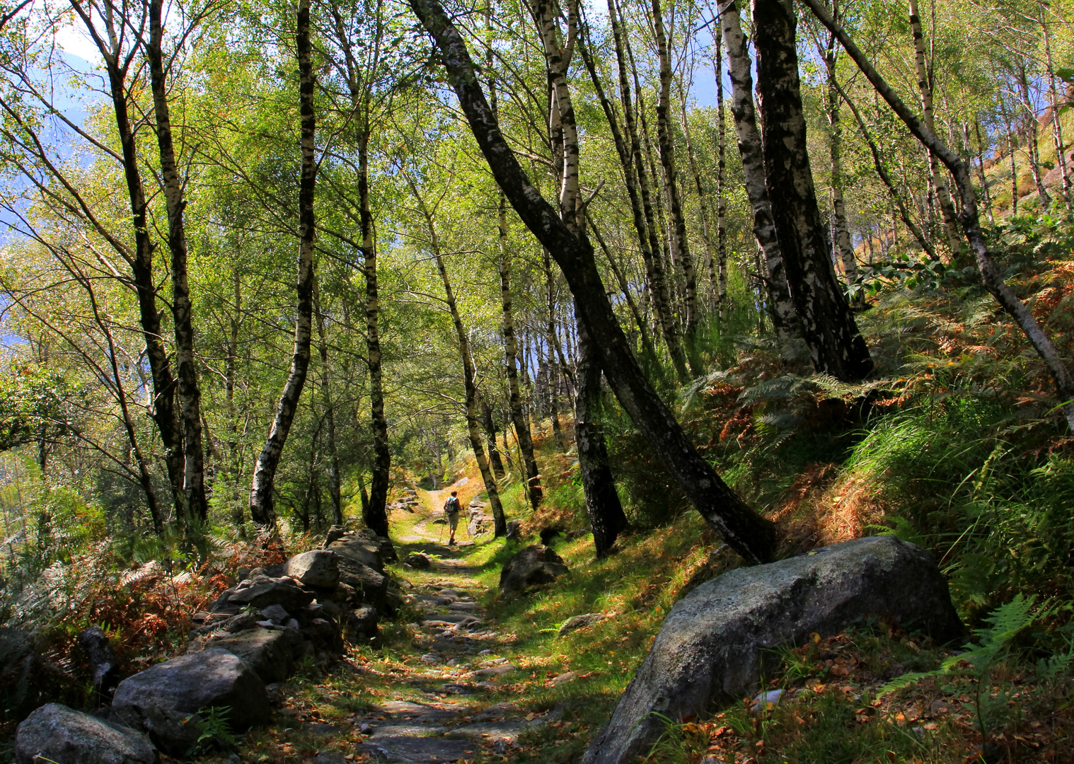 Wanderung im Maggiatal