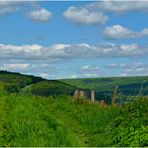 Wanderung im Mai