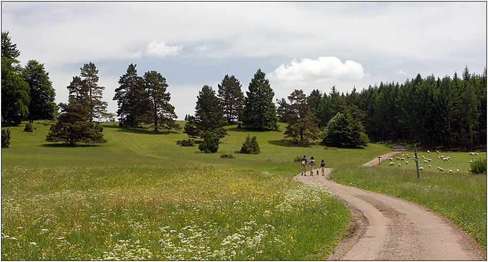 Wanderung im Mai