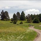 Wanderung im Mai