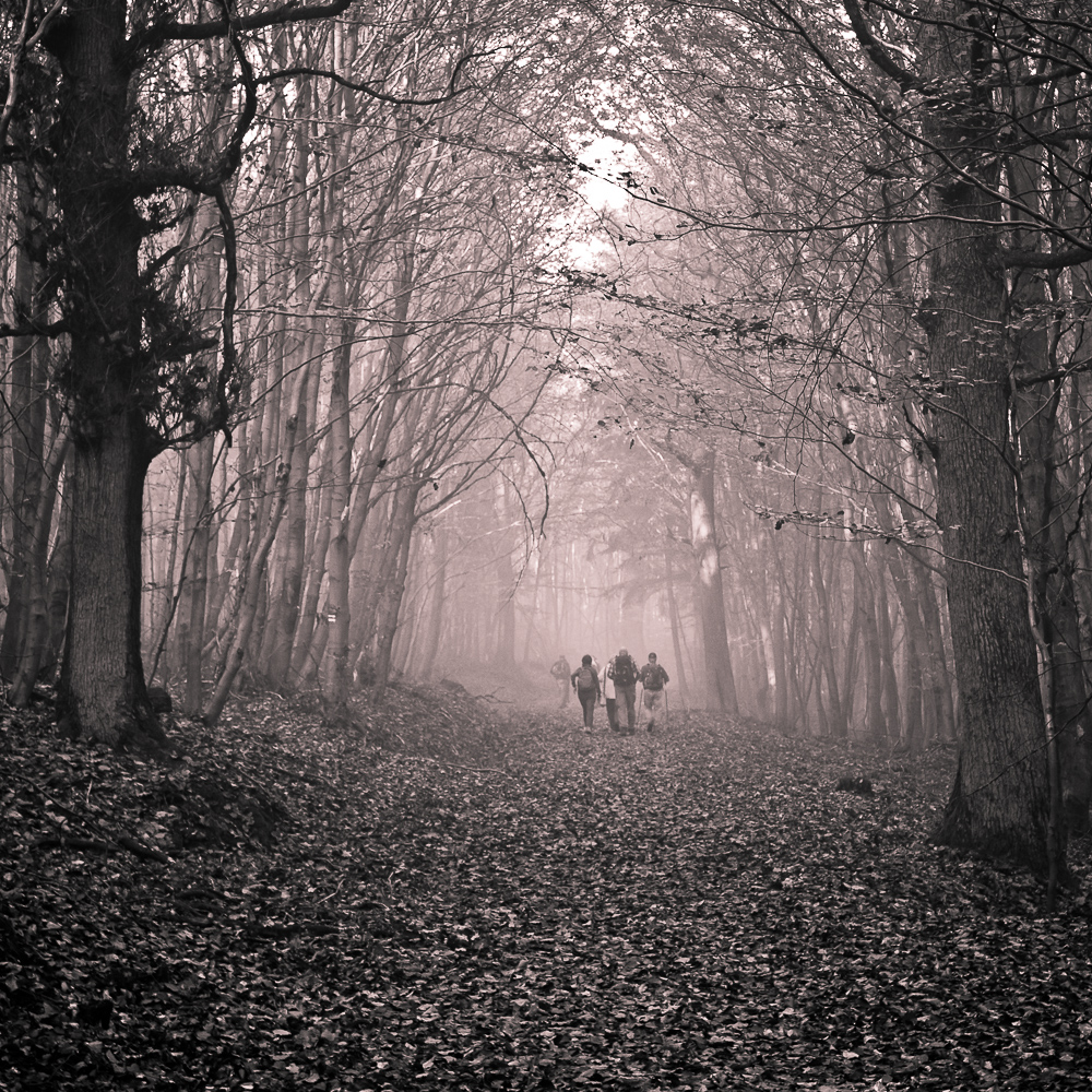 Wanderung im Morgennebel