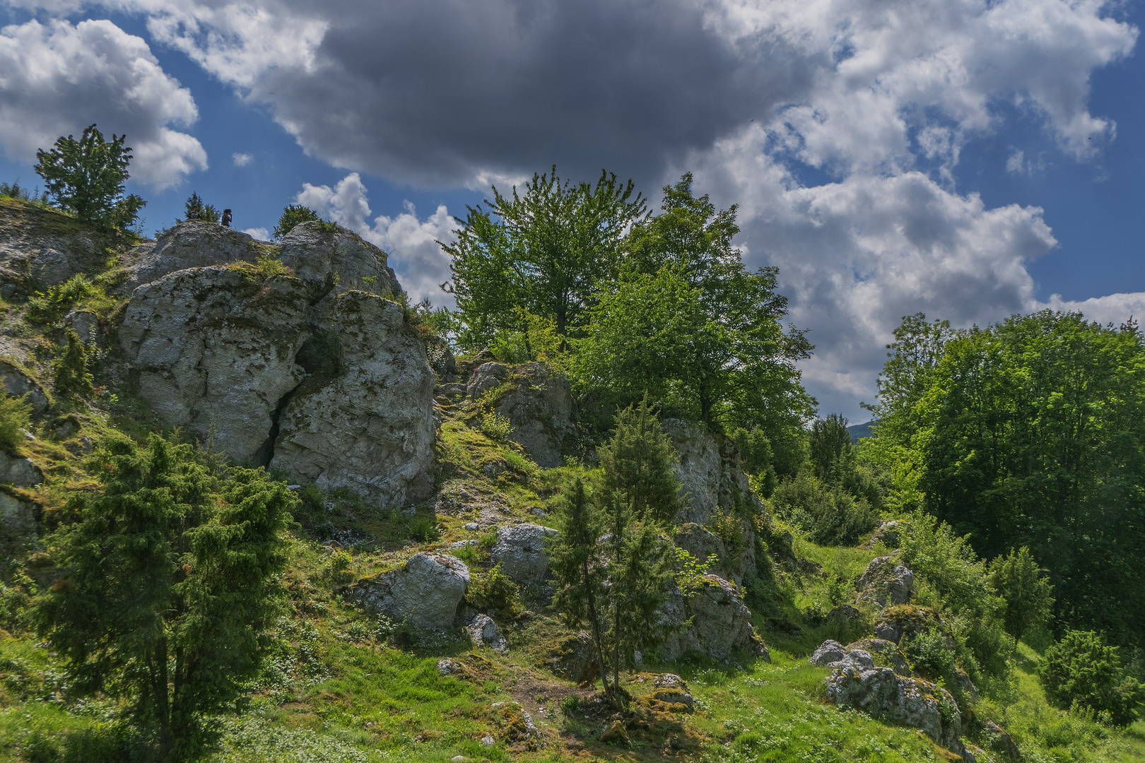 Wanderung im Naturschutzgebiet  Hielöcher