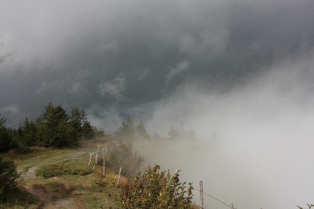 Wanderung im Nebel