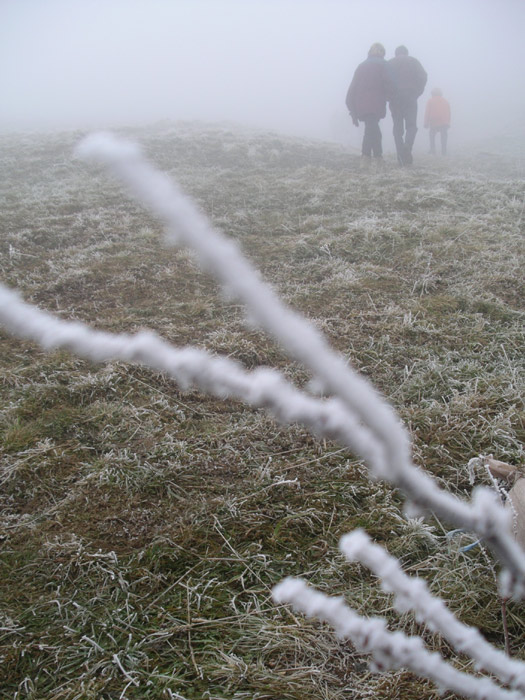 Wanderung im Nebel