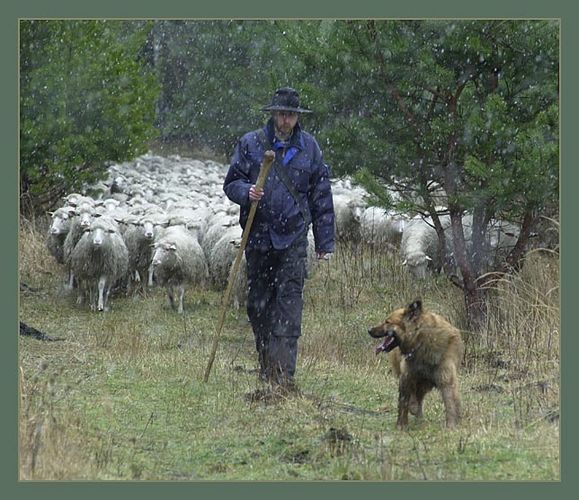 Wanderung im Regen