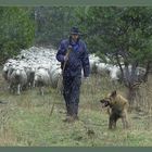 Wanderung im Regen