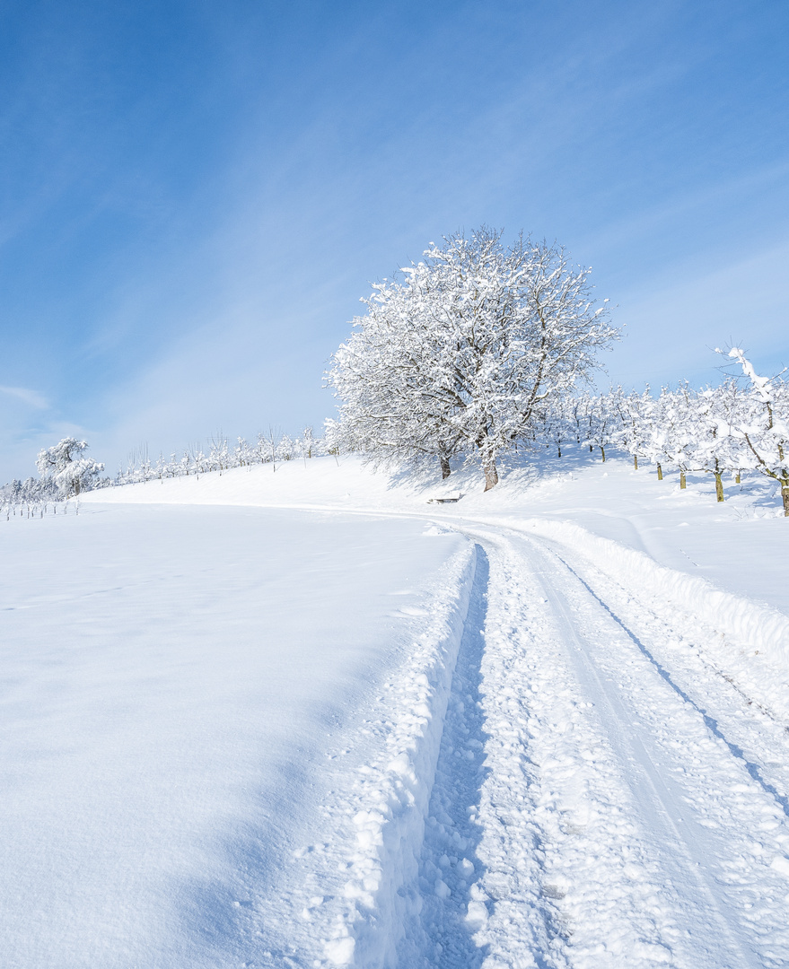 Wanderung im Schnee