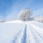 Wanderung im Schnee