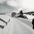 Wanderung im Schnee, St. Gallen - Stein AR