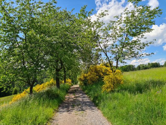 Wanderung im schönen Erzgebirge..