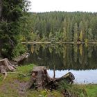 Wanderung im Schwarzwald