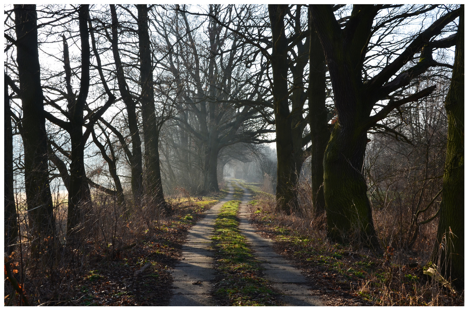 Wanderung im Unterspreewald an einem Frühlingsmorgen