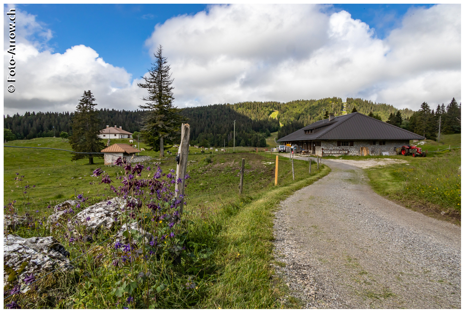 Wanderung im Waadtländer Jura an der Grenze zu Frankreich