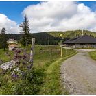 Wanderung im Waadtländer Jura an der Grenze zu Frankreich