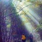 Wanderung im Wald