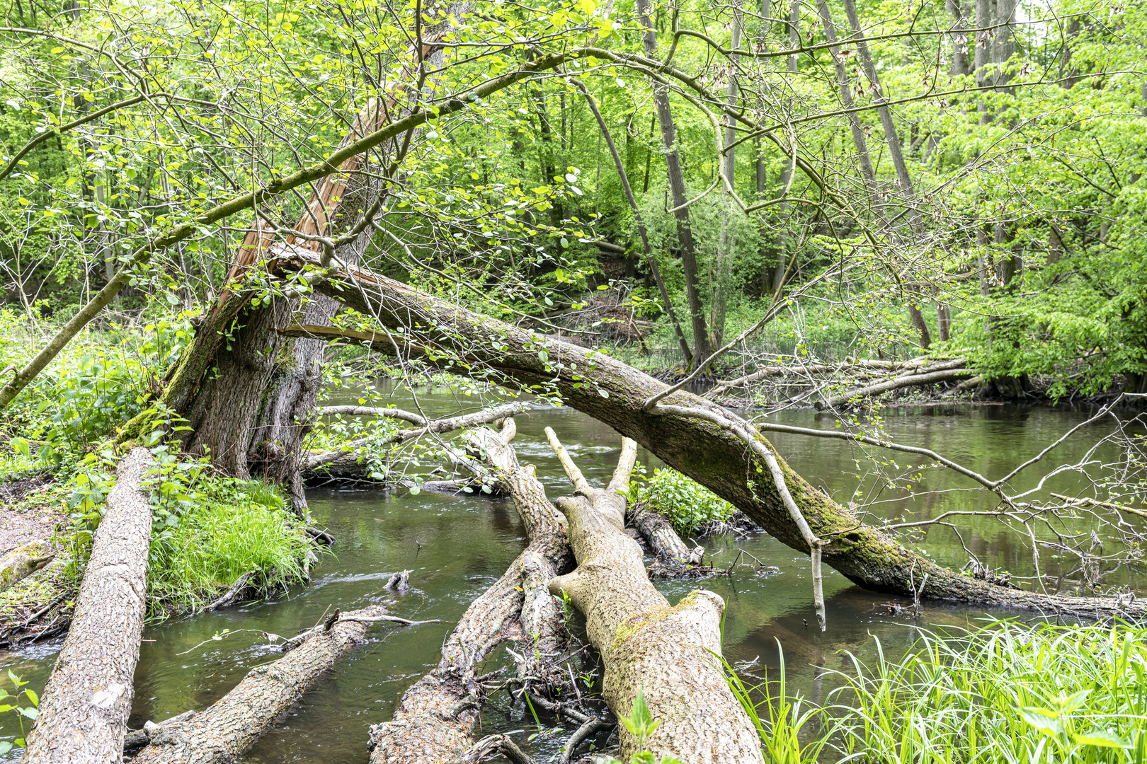 Wanderung im Warnow Tal