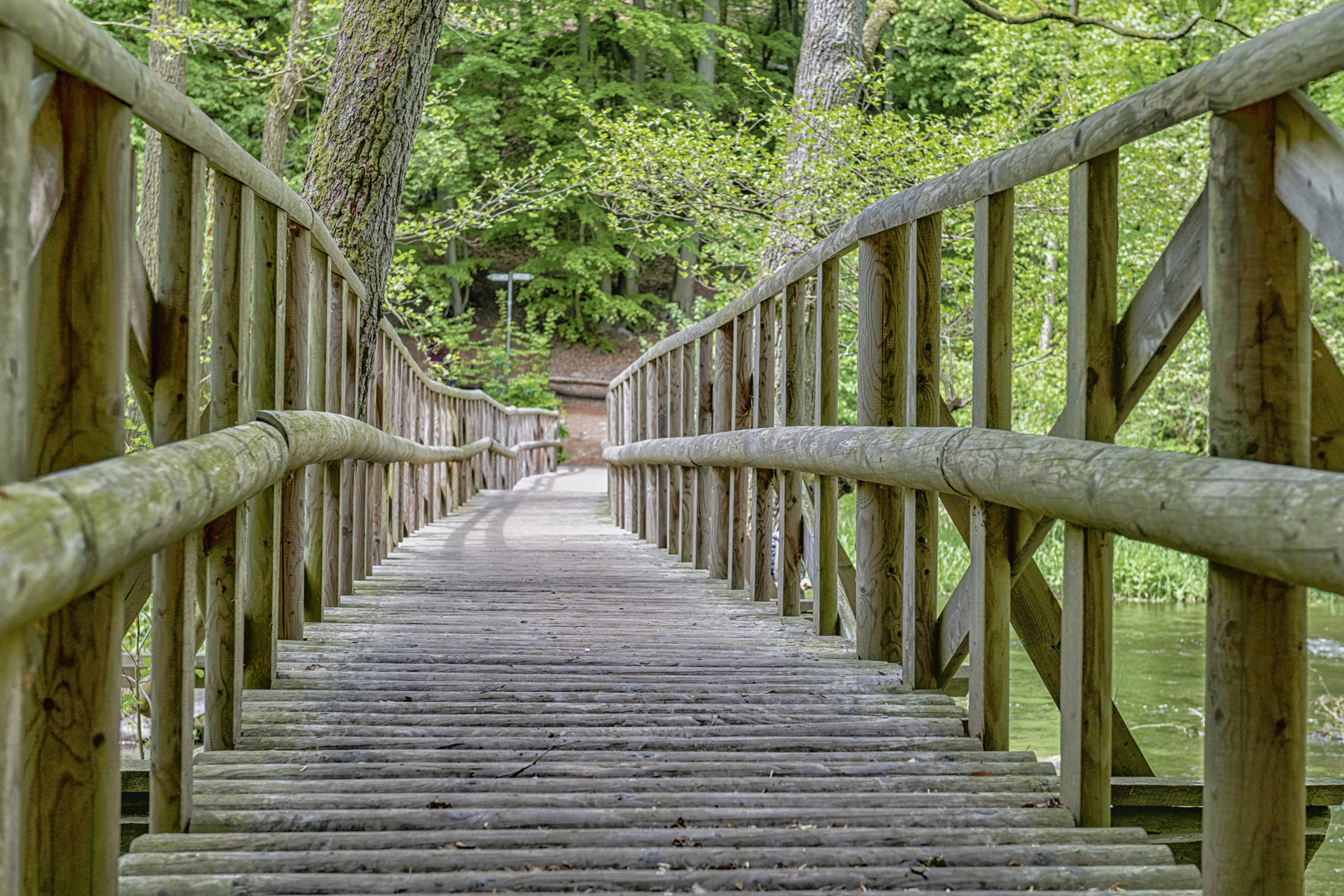 Wanderung im Warnow Tal