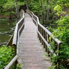 Wanderung im Warnow Tal