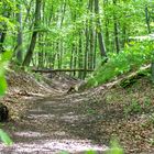 Wanderung im Warnow Tal